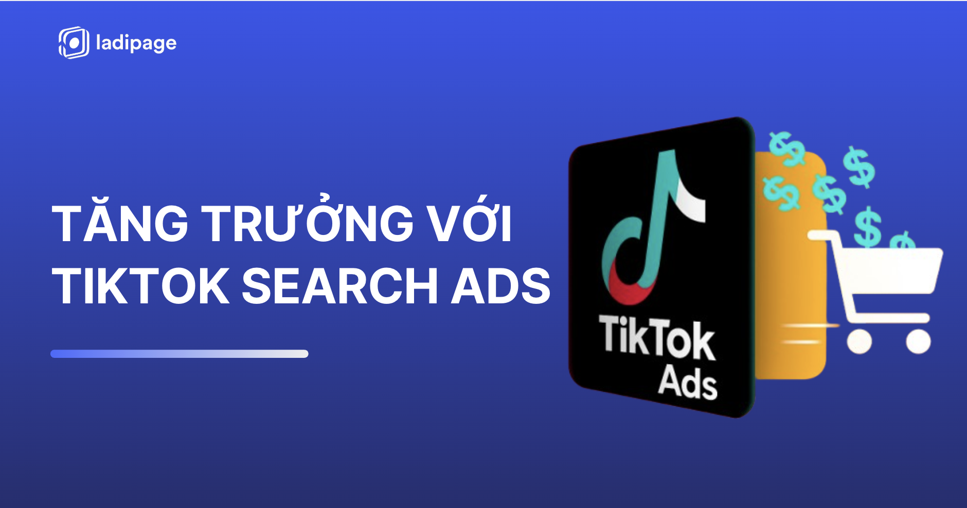 Quảng Cáo TikTok Search Ads: Xu Hướng Tăng Trưởng Mới Trong Tìm Kiếm