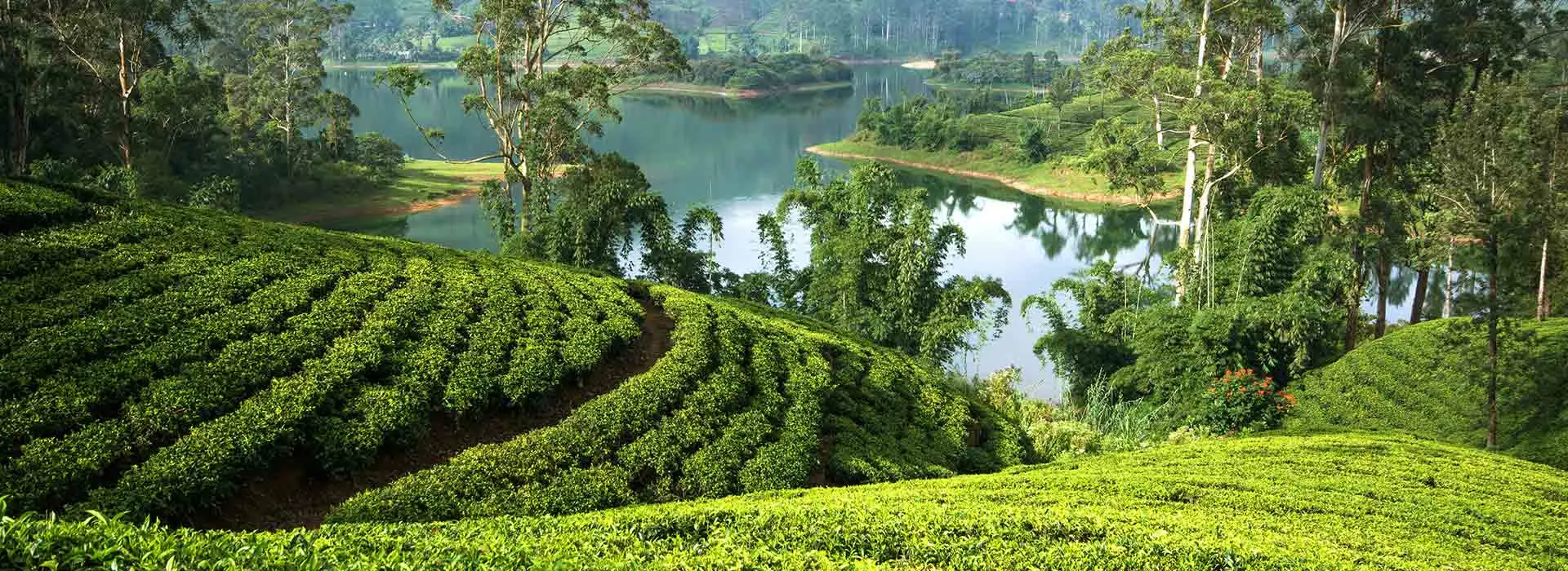 Sri Lanka 16