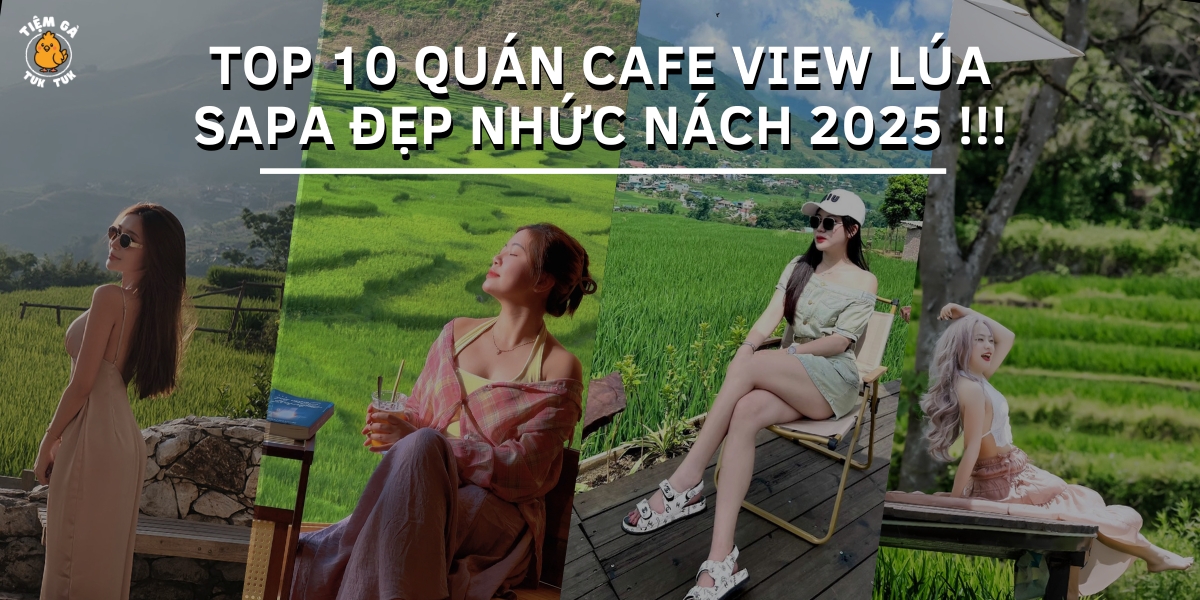 cafe view lúa Sapa