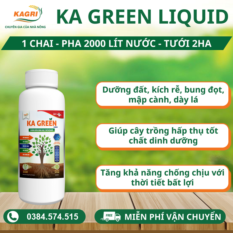Phân bón sinh học KA GREEN chính hãng KAGRI
