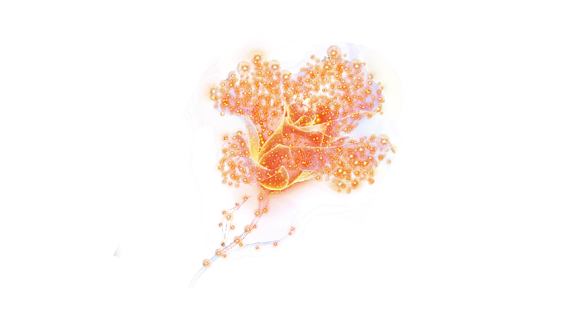 Final Image