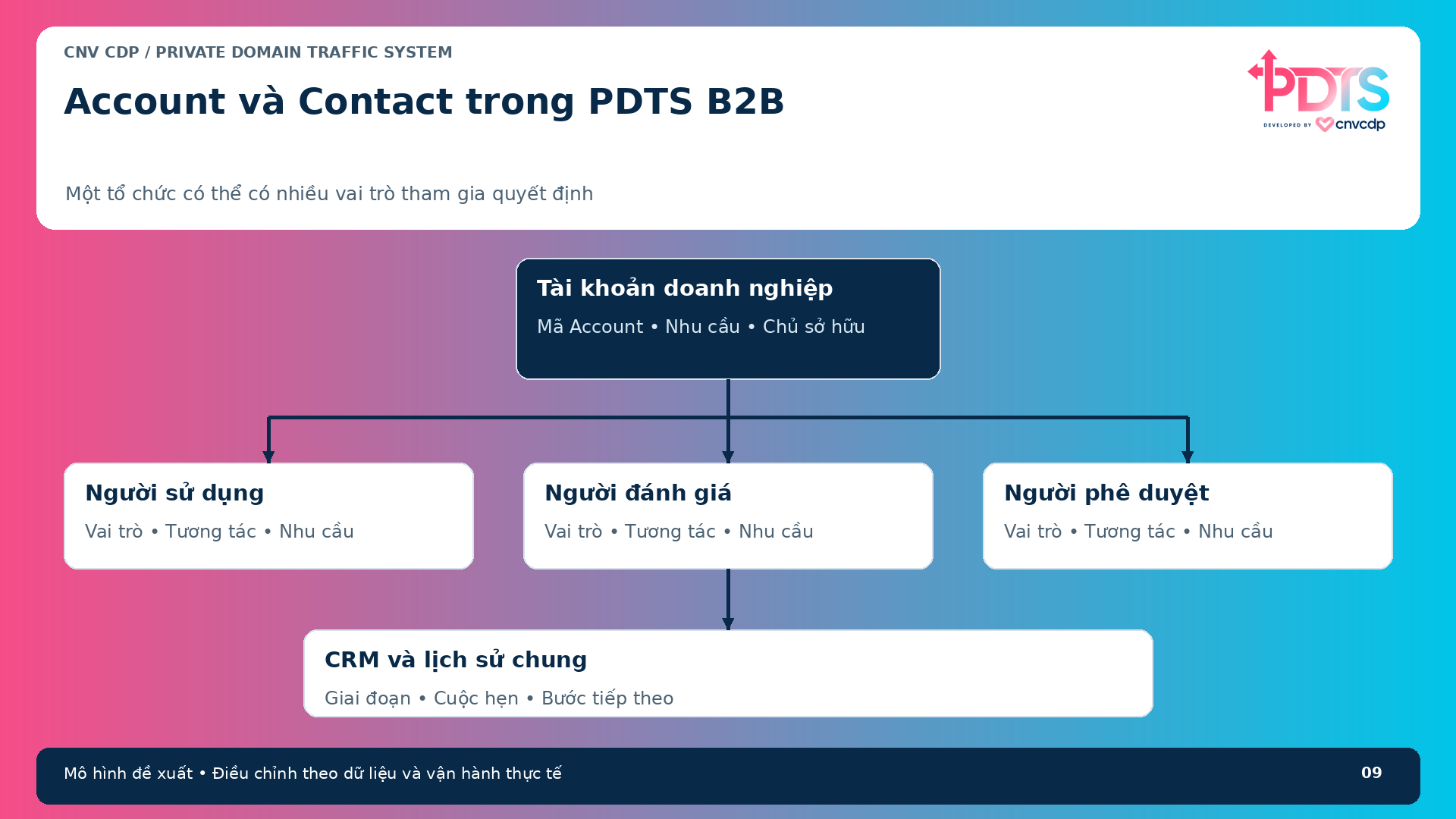 Mô hình tài khoản B2B kết nối nhiều người liên hệ và lịch sử tương tác với CRM