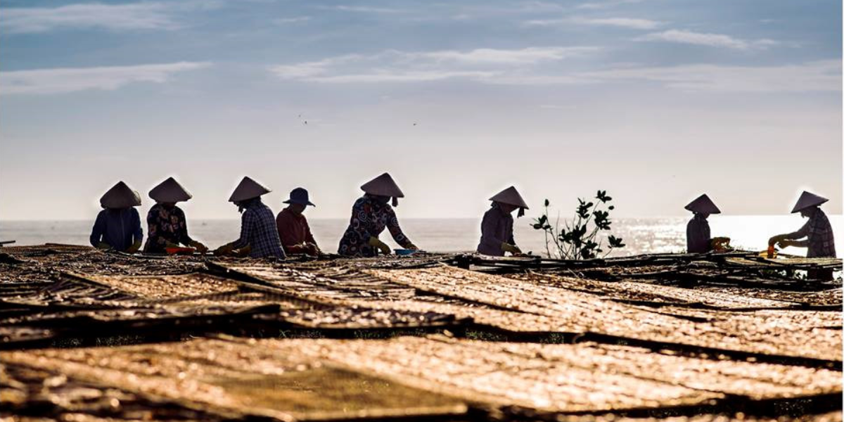 Làng chài Phước Hải là nơi thư giãn sau những ngày làm việc căng thẳng