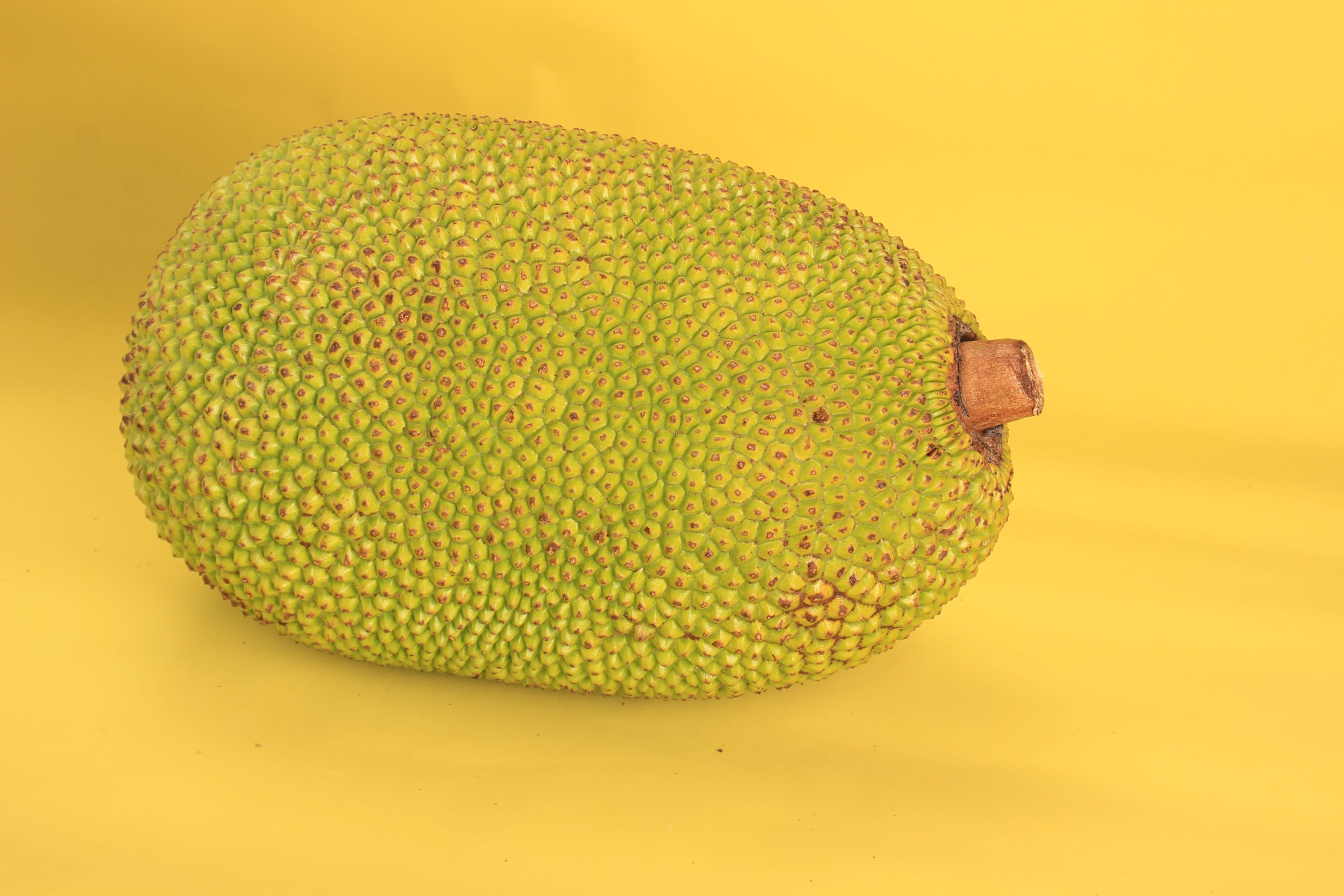 Jackfruit Innovation