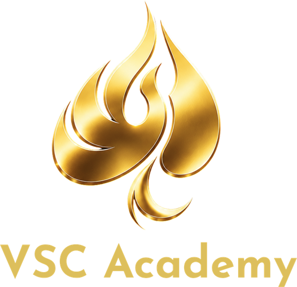 VSC Academy