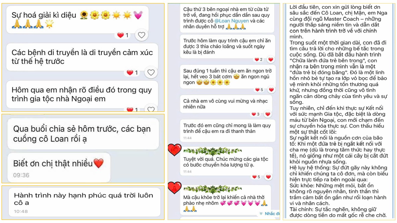 Cảm nhận học viên VSC Academy — sự hóa giải và chuyển hóa năng lượng gia tộc