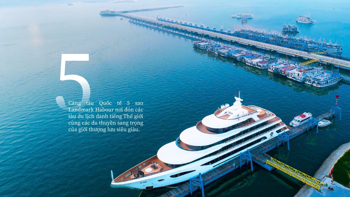 Cảng du thuyền cao cấp