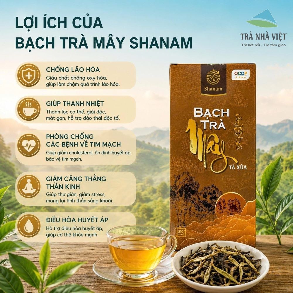 Công dụng Bạch Trà Mây