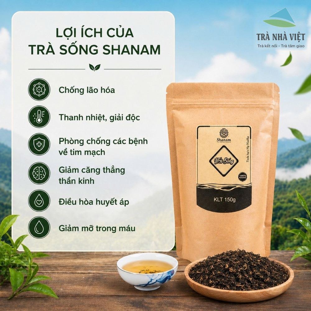 Công dụng Trà Sống Shanam