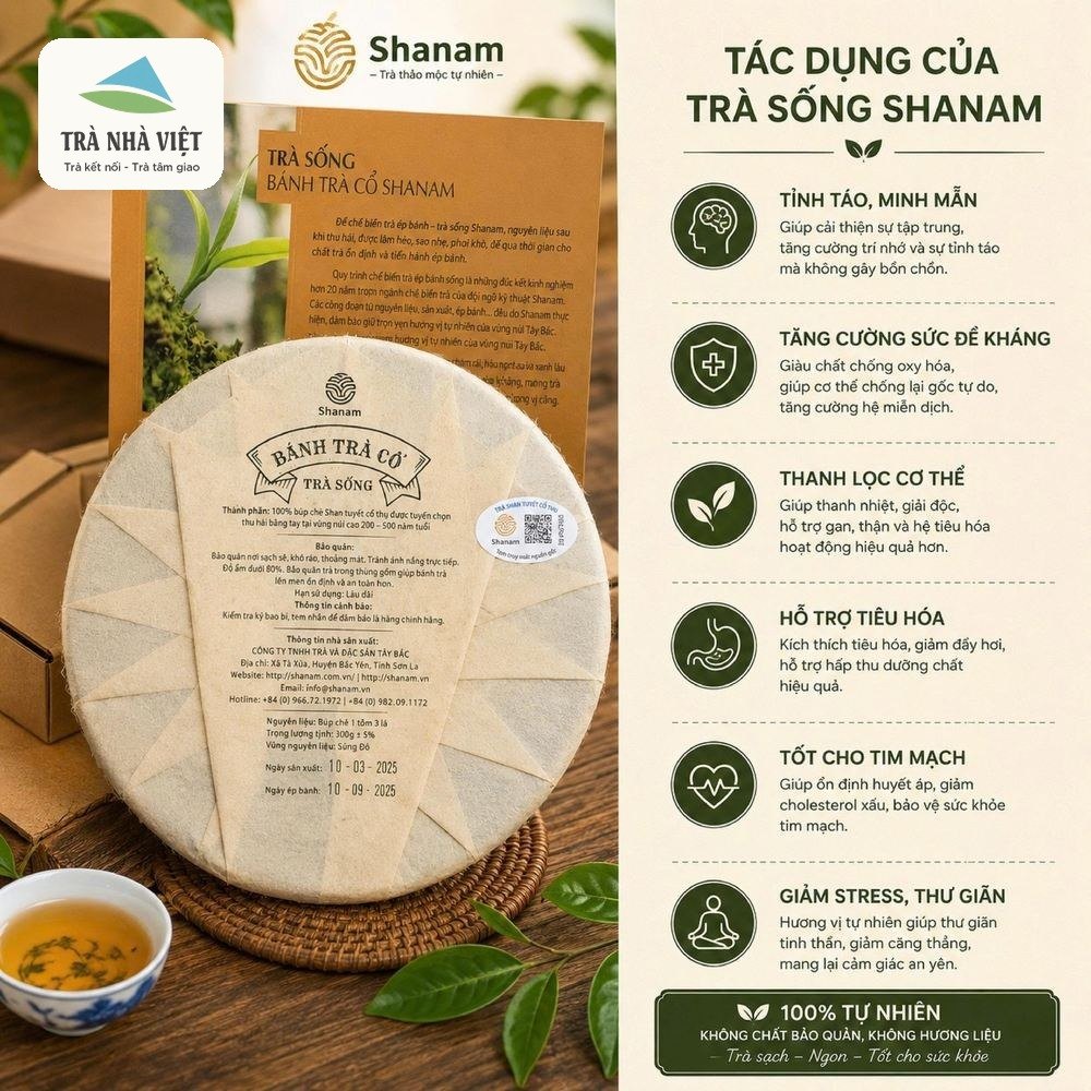 Công dụng Bánh Trà Sống Cổ
