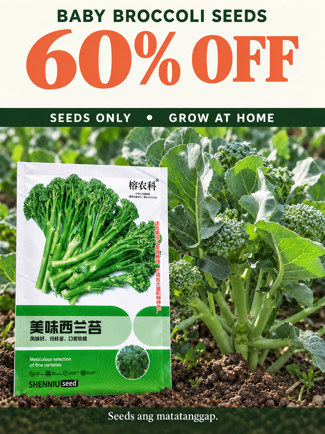 Baby Broccoli Seeds