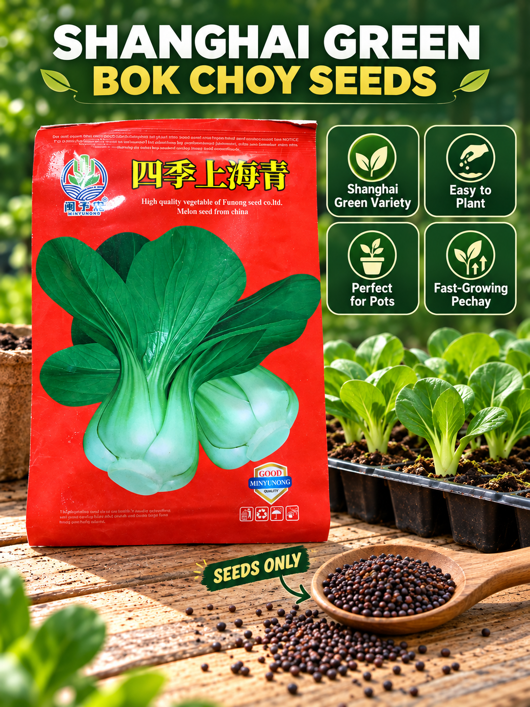 Shanghai Green Bok Choy