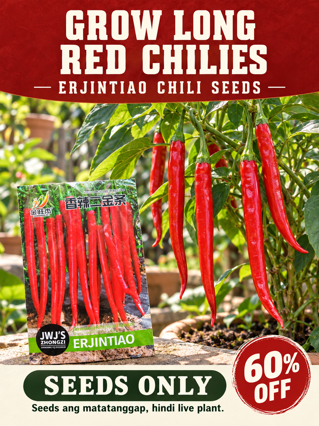 Long Red Chili Seeds