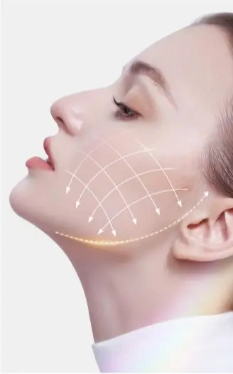 Minh họa vùng đường viền hàm