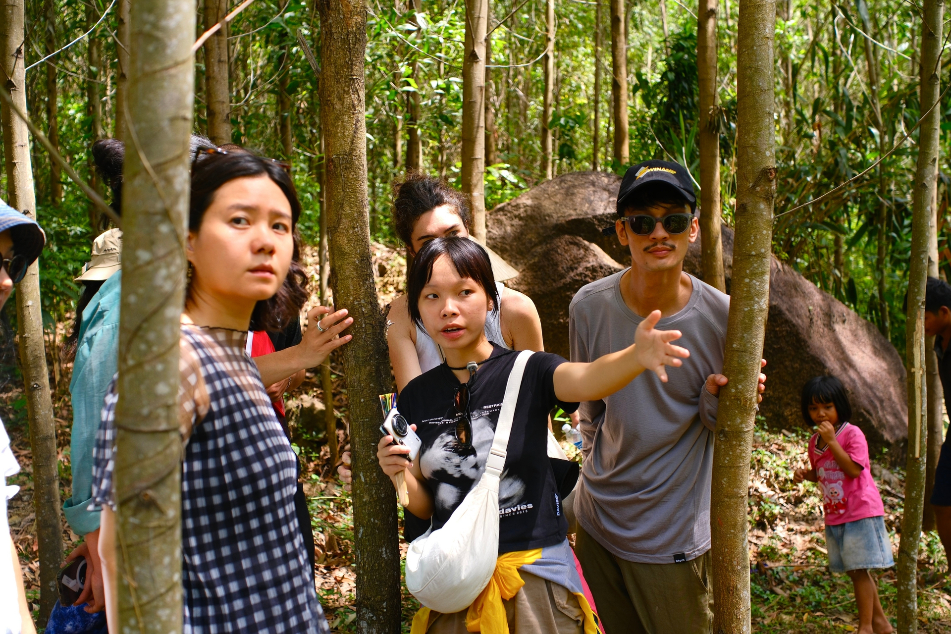 Explore the Acacia Forests in Hòa Phú, Da Nang