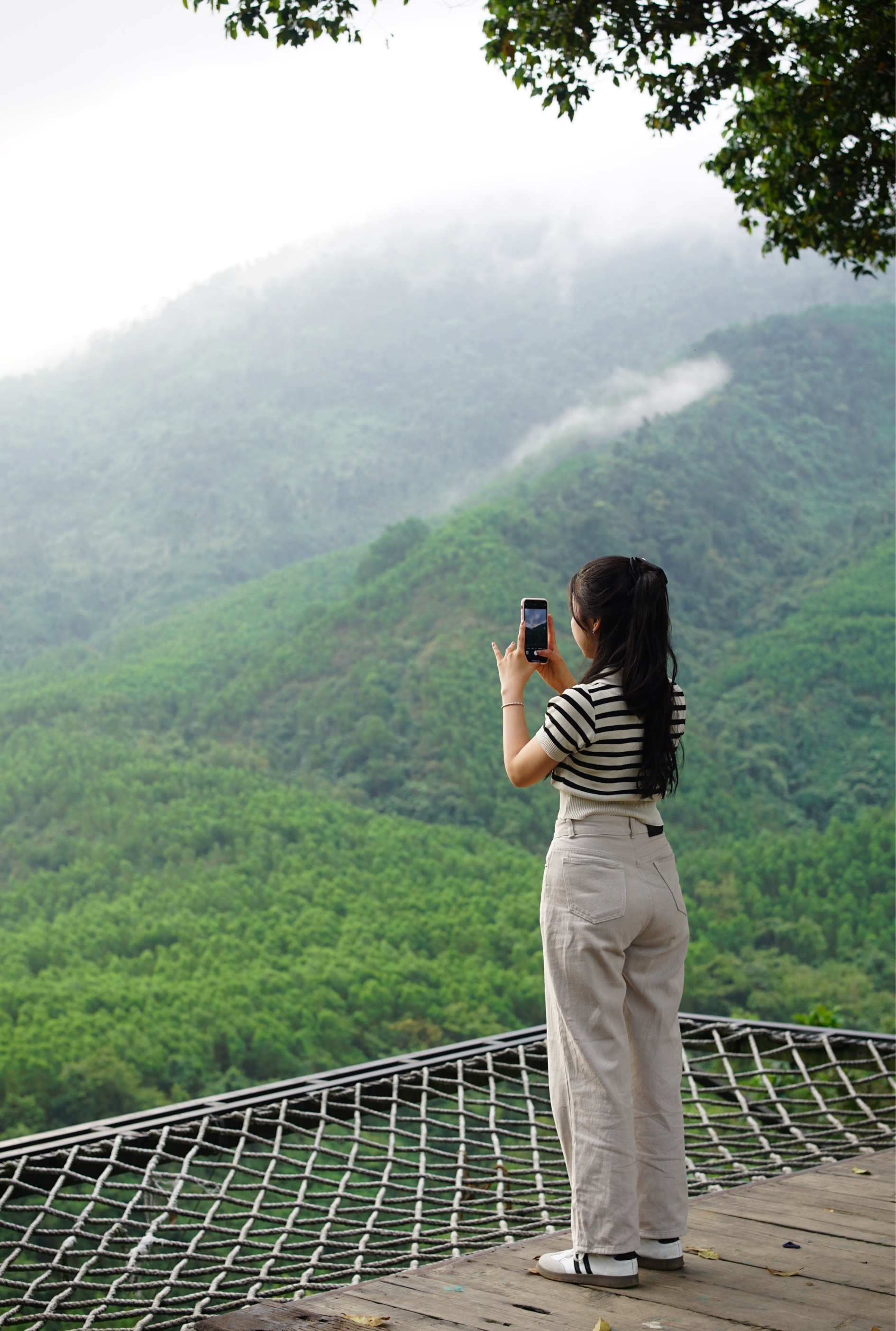Săn Mây Toom Sara Đà Nẵng Mùa Mưa
