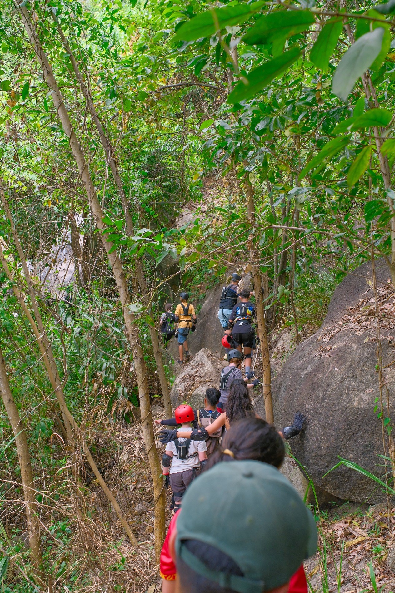 Trekking đi tìm hơi thở của rừng Trekking đi tìm hơi thở của rừng