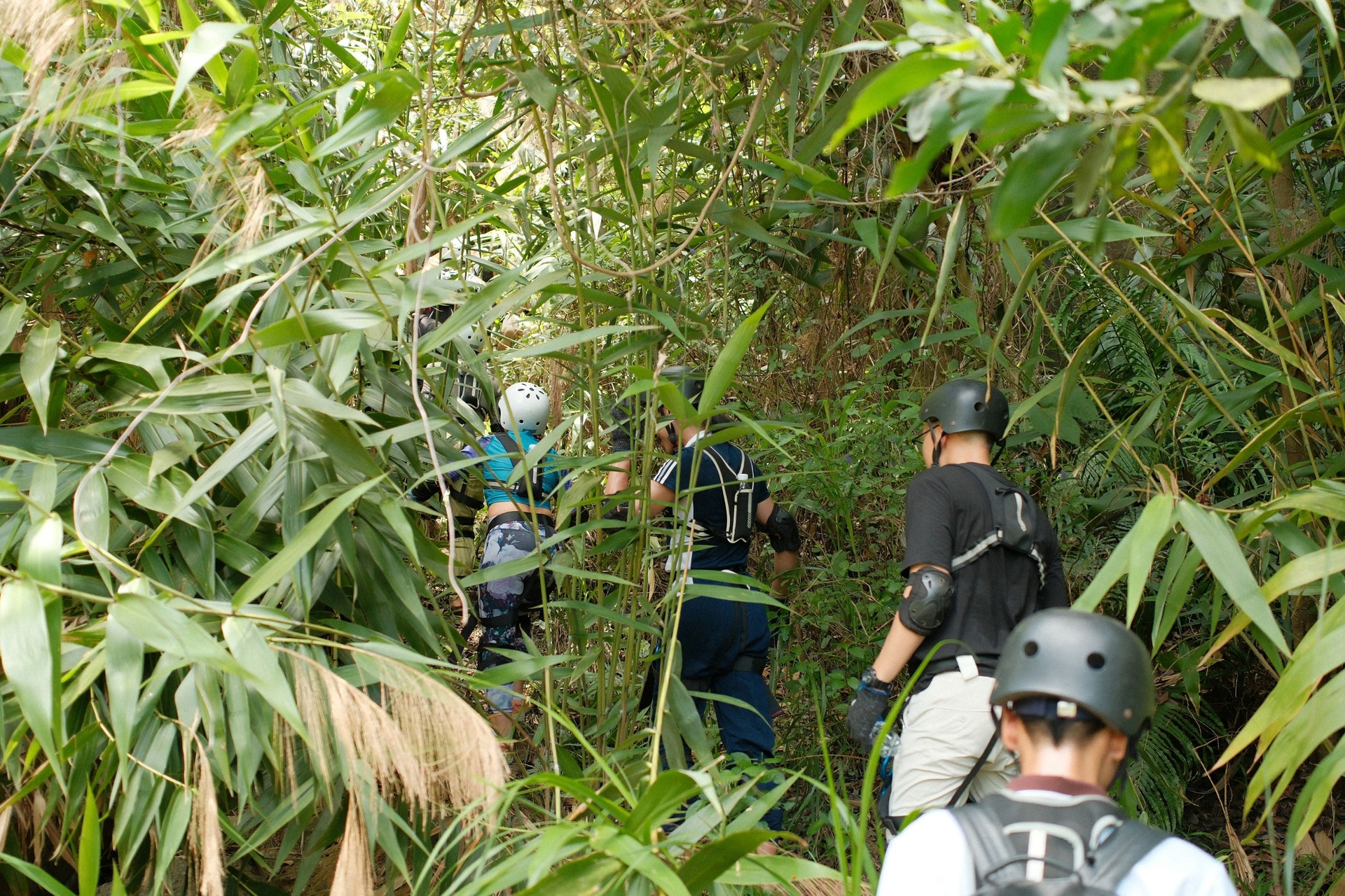 Trekking Xuyên Rừng Đà Nẵng Trekking Xuyên Rừng Đà Nẵng