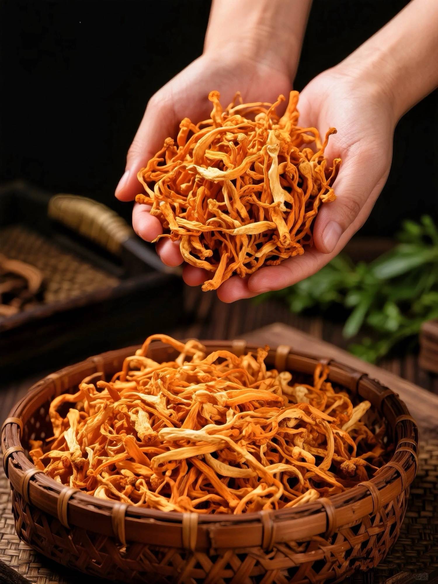 Đông Trùng Hạ Thảo sấy lạnh Tổng Sỉ Tuệ Minh