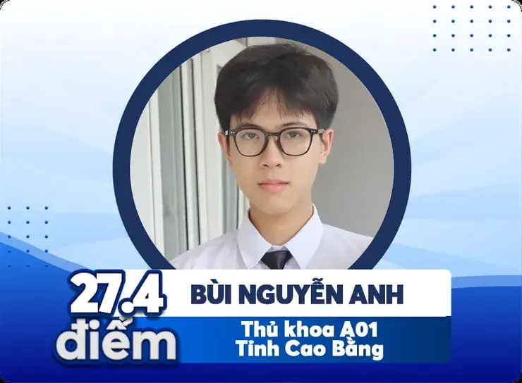 Thành tích học viên Bùi Nguyên Anh tại SSStudy