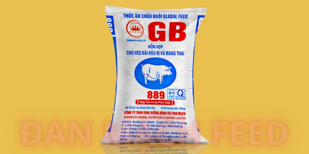 Sản phẩm thức ăn cho Nái hậu bị và mang thai GB-889