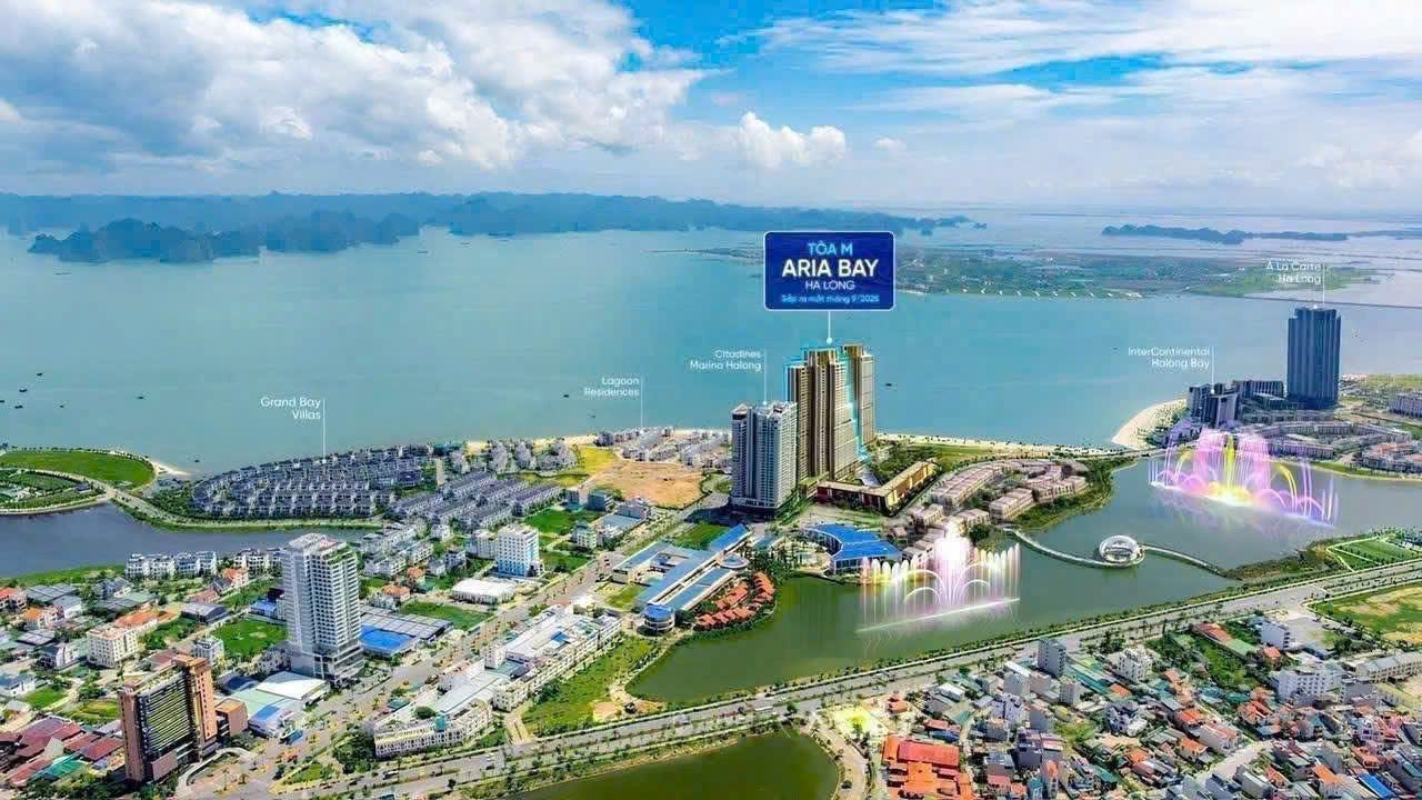 Phối cảnh thực tế dự án Aria Bay Hạ Long tại Halong Marina, view vịnh Hạ Long