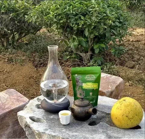 Trà Sông Cầu, bình thuỷ tinh, ấm và quả bưởi trên bàn đá giữa vườn chè