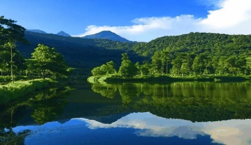 Retreat Tắm Rừng Shinrin-yoku Mầm Đá