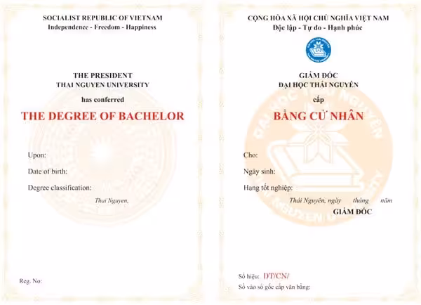 Mẫu phôi bằng Cử nhân Đại học Thái Nguyên không ghi hình thức đào tạo