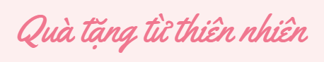 Quà Tặng