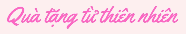 Quà Tặng