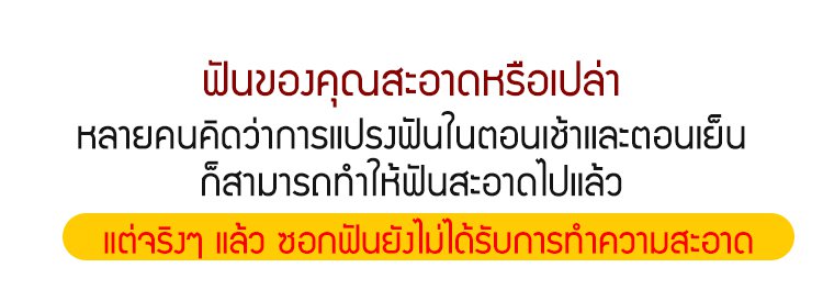 รายละเอียดสินค้า