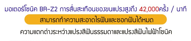 รายละเอียดสินค้า