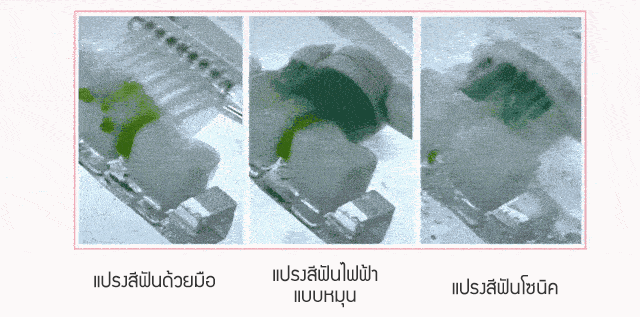 รายละเอียดสินค้า