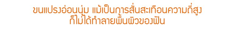 รายละเอียดสินค้า