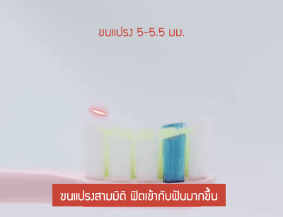 รายละเอียดสินค้า