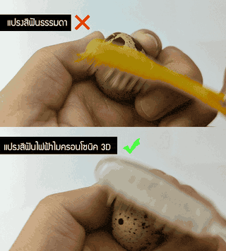 รายละเอียดสินค้า