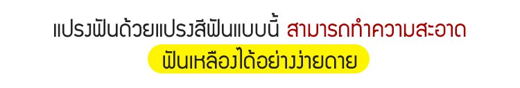 รายละเอียดสินค้า