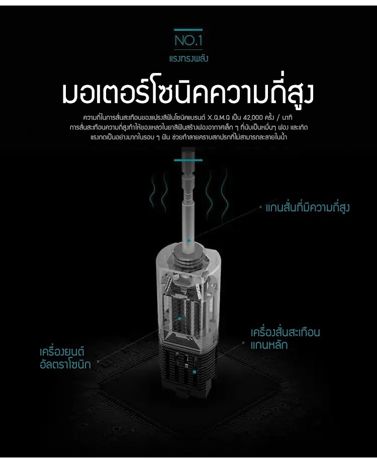 รายละเอียดสินค้า