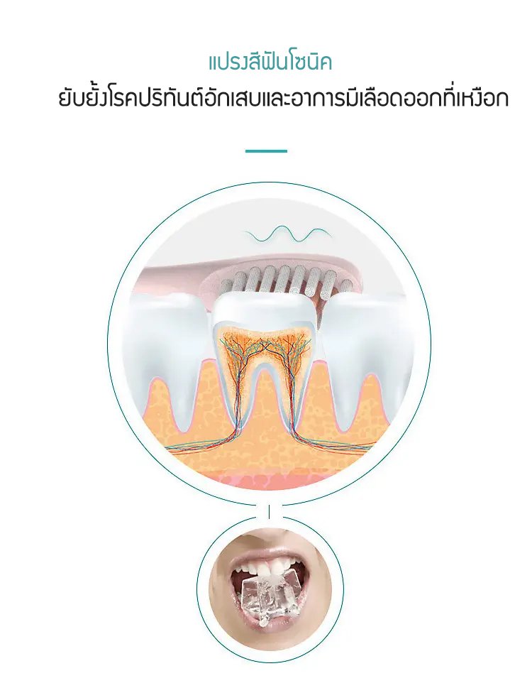 รายละเอียดสินค้า