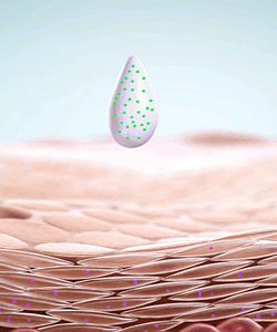 Animated skin absorption illustration 2