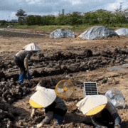 Ảnh Giải pháp