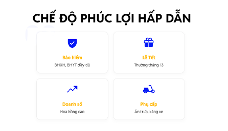 Chế độ phúc lợi hấp dẫn