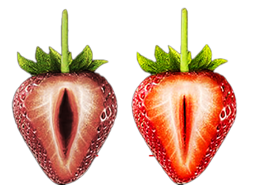 Minh họa thẩm mỹ cô bé