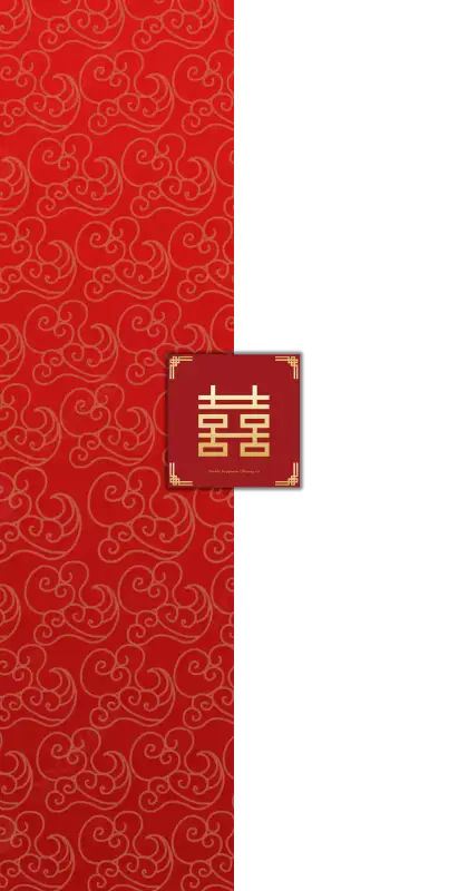 Play Icon