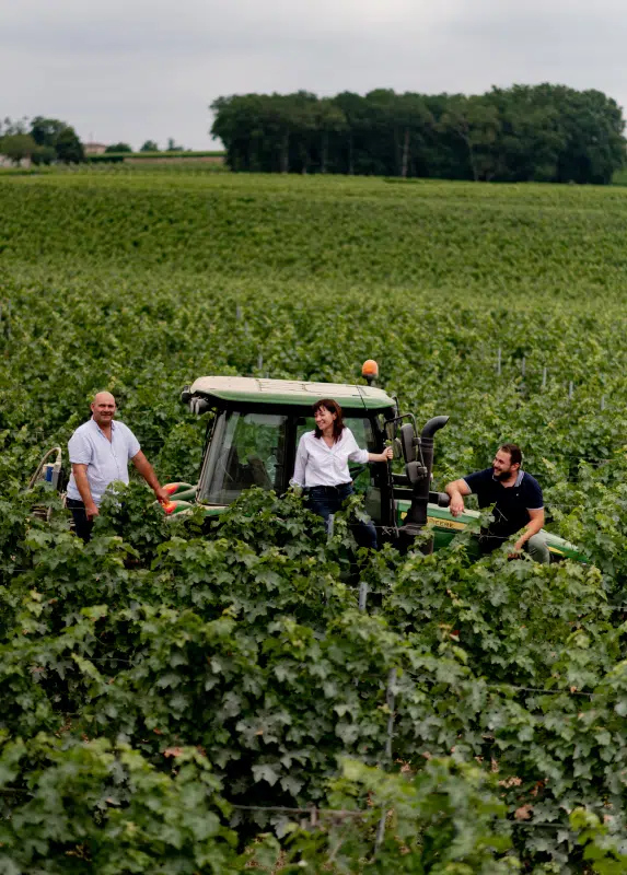Chateau Bordeaux Families