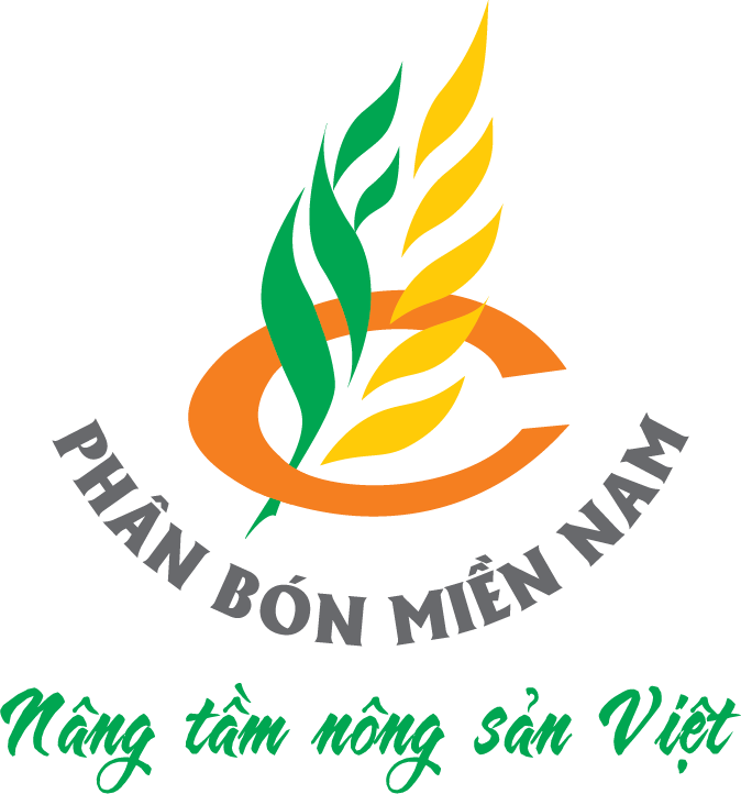 Logo 6
