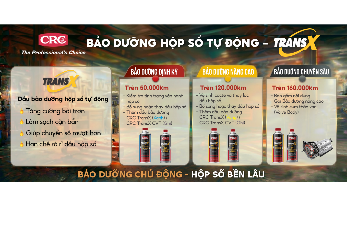 Gói dịch vụ transx
