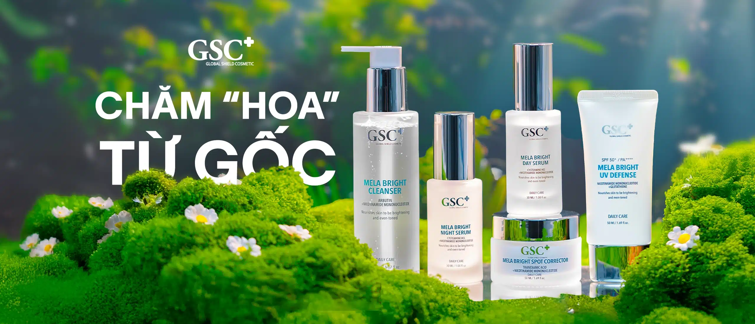 Hình ảnh dự án GSC