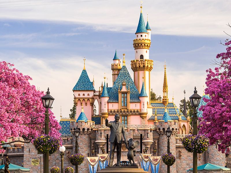 Disneyland Thượng Hải (Option, chi phí tự túc)